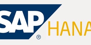 SAP HANA Backup and DR